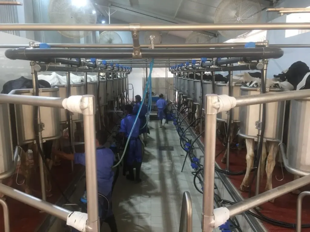 Milking equipment in the parlour