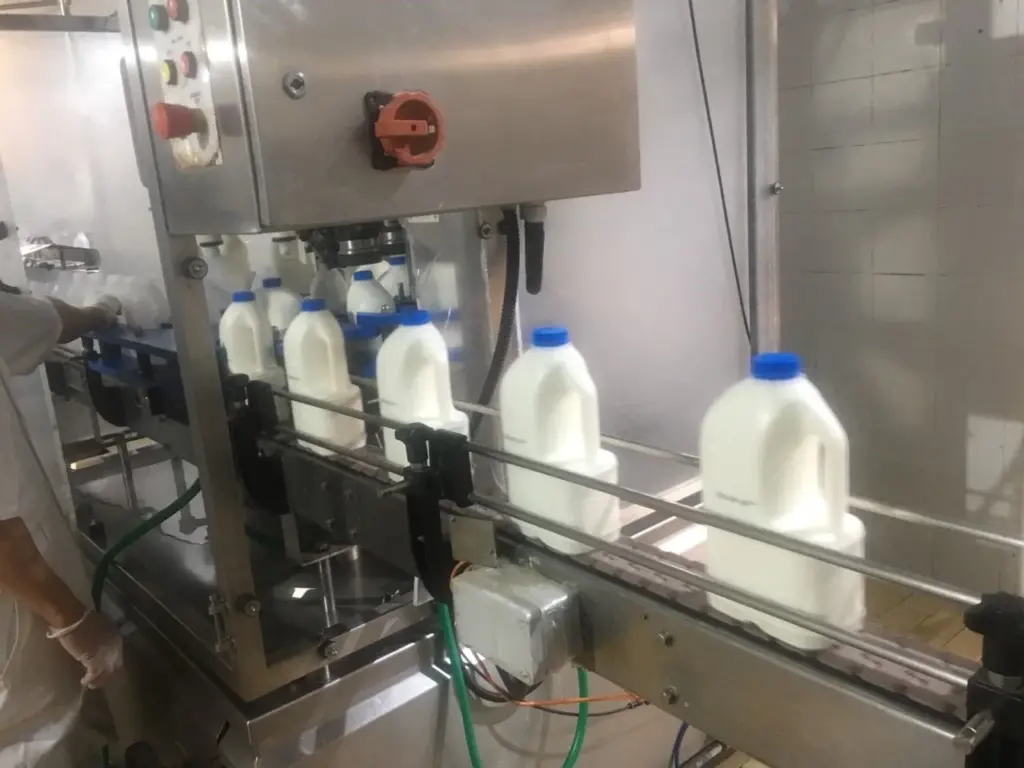 Processing hall at the Digdaga dairy plant