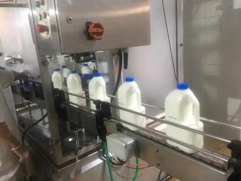 Processing hall at the Digdaga dairy plant