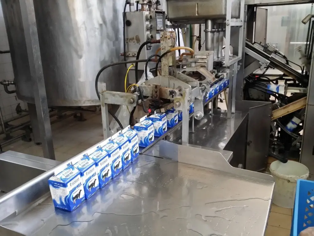 Packaging process at the dairy plant
